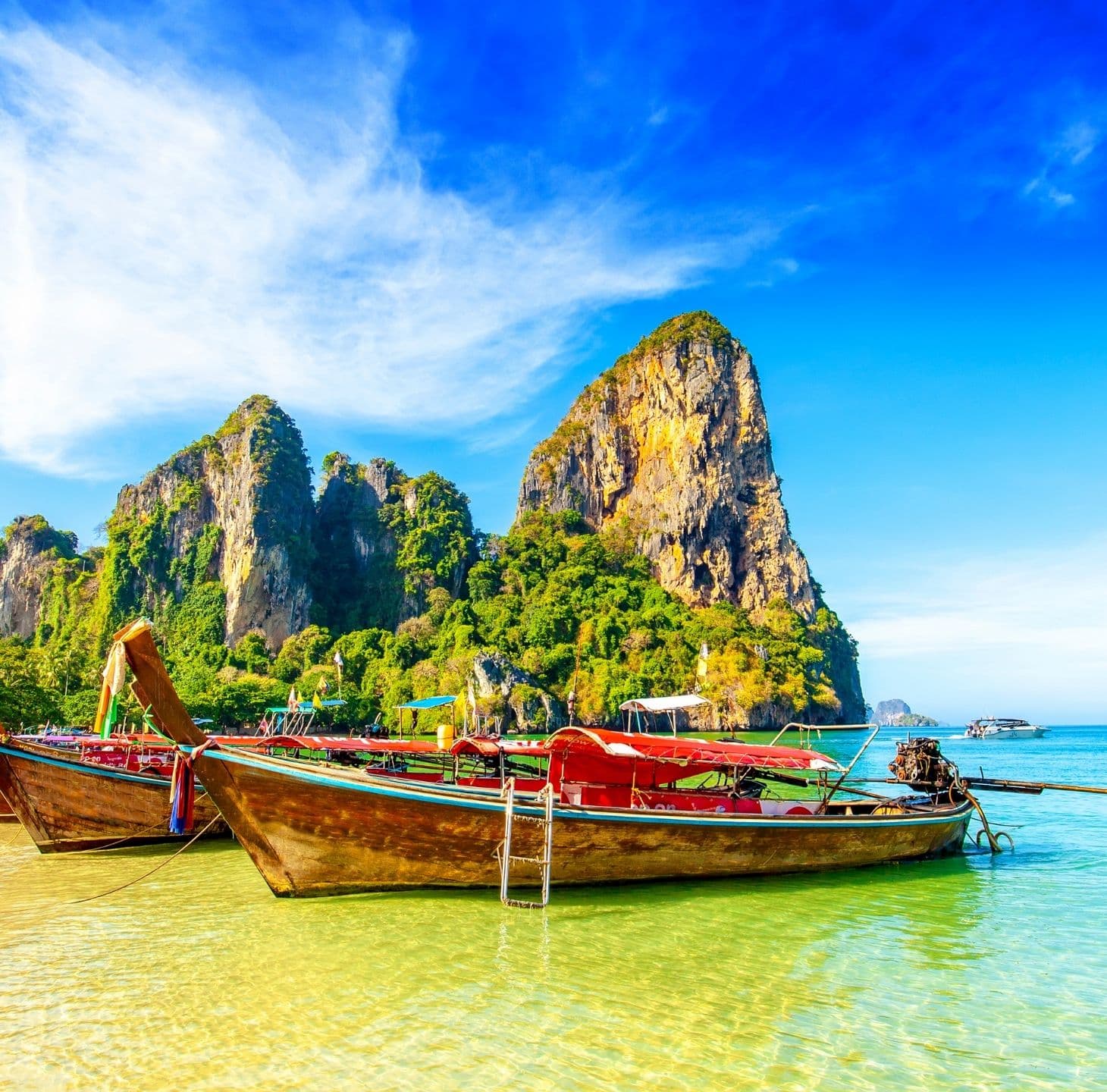 Exclusive Flight Offers